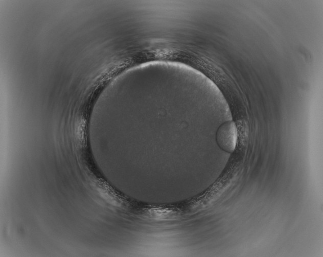 X0000112530650200909281039