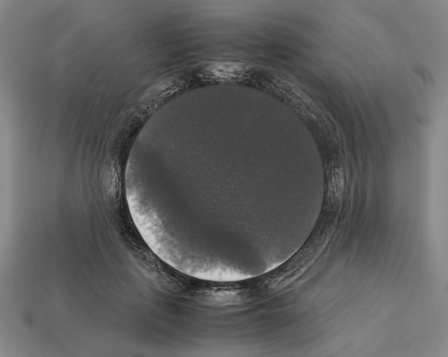 X0000112530651200909281039