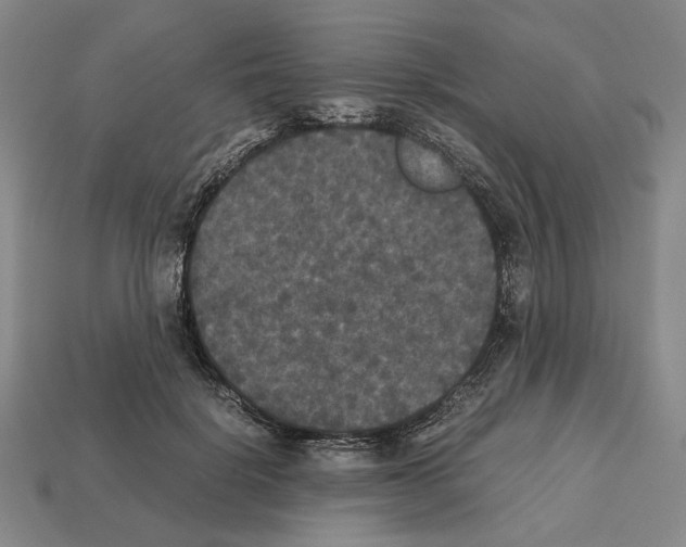 X0000112530652200909281039