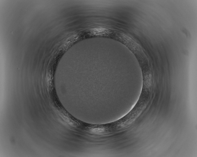 X0000112530653200909281039