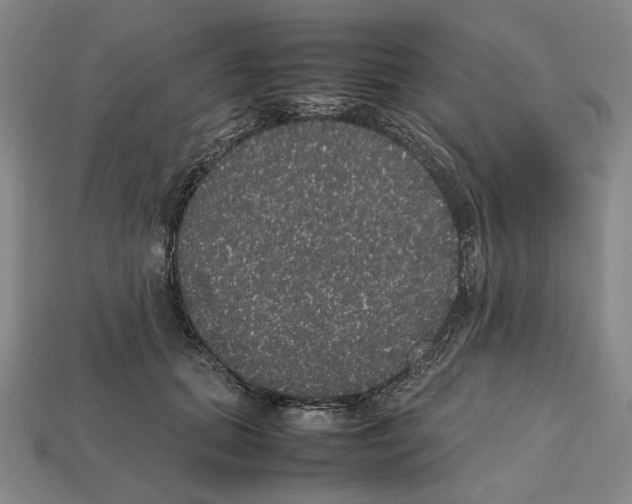 X0000112530655200909281039