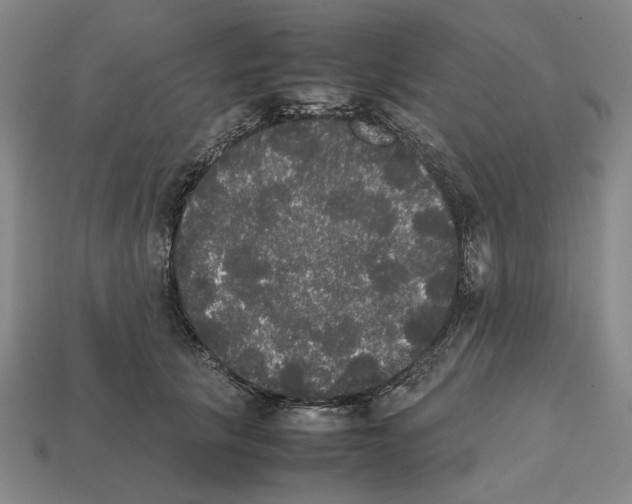 X0000112530657200909281039