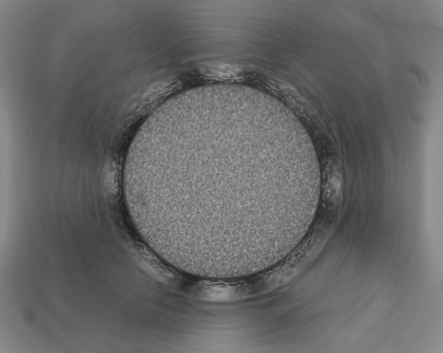 X0000112530658200909281039