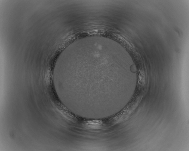 X0000112530659200909281039