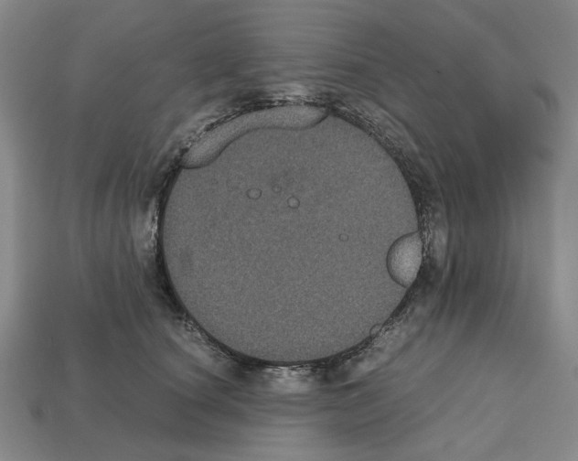 X0000112530660200909281039