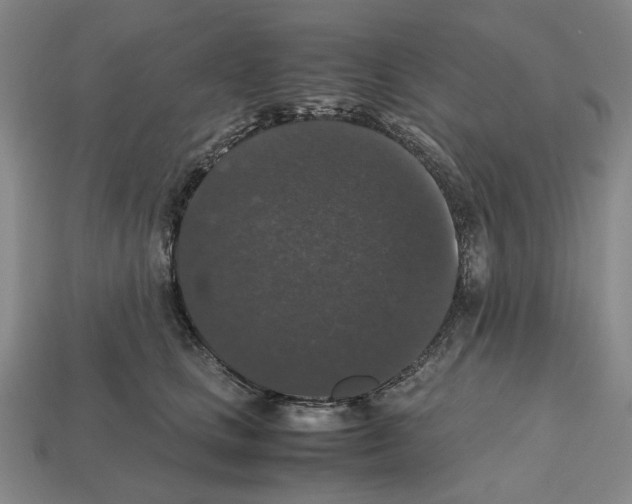 X0000112530661200909281039