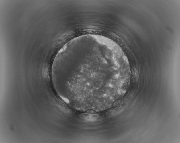 X0000112530663200909281040