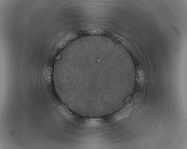 X0000112530664200909281040