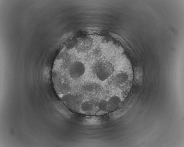 X0000112530667200909281040