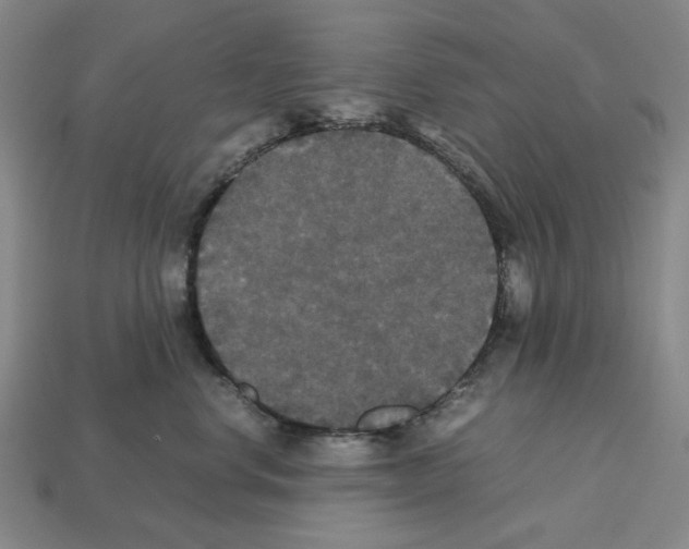 X0000112530668200909281040