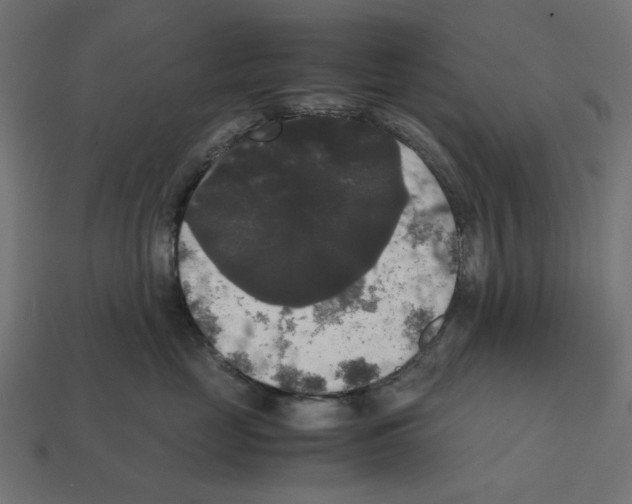 X0000112530669200909281040