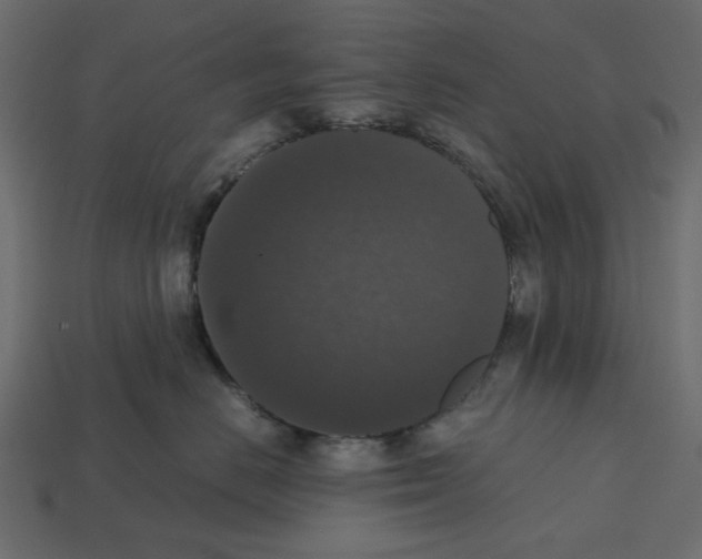 X0000112530670200909281040