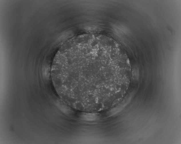 X0000112530671200909281040