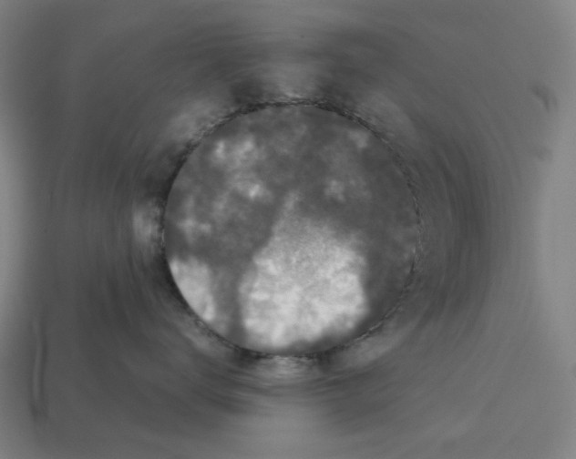 X0000112530672200909281040