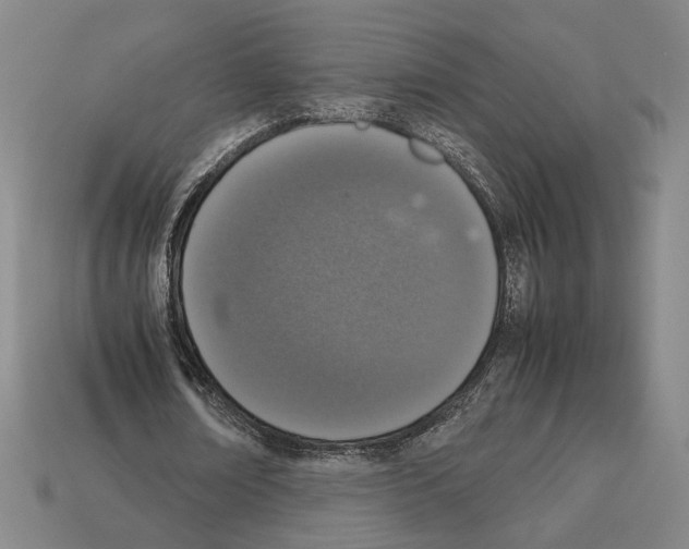 X0000112530674200909281039