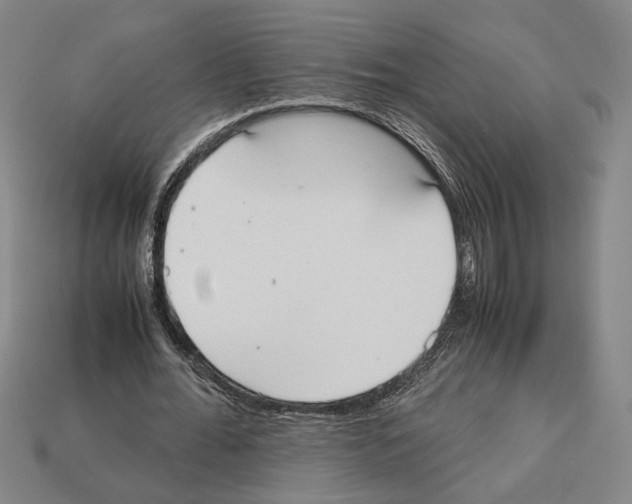 X0000112530676200909281039