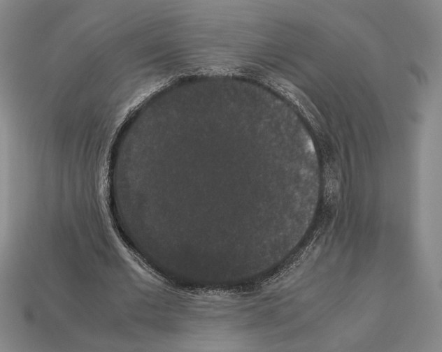 X0000112530677200909281039