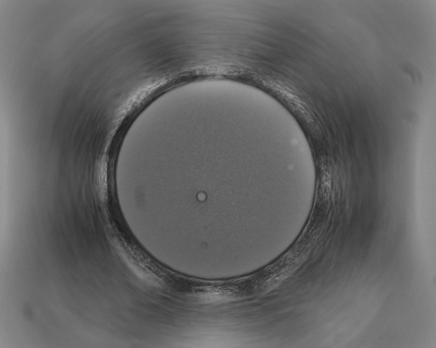 X0000112530678200909281039