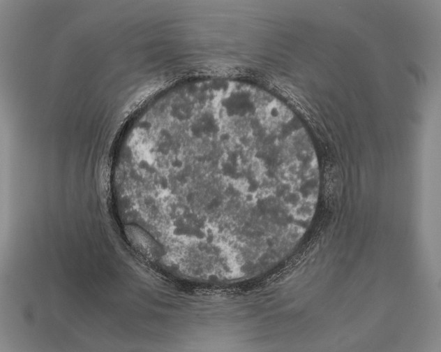 X0000112530679200909281039