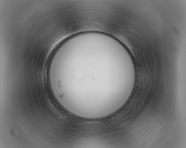 X0000112530680200909281039