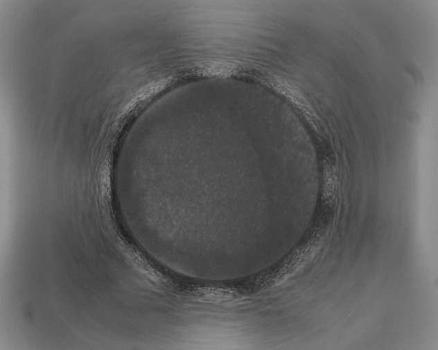 X0000112530681200909281039