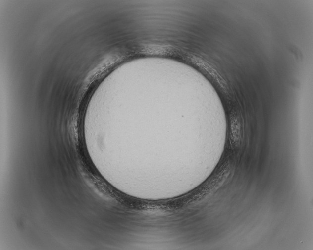 X0000112530682200909281039