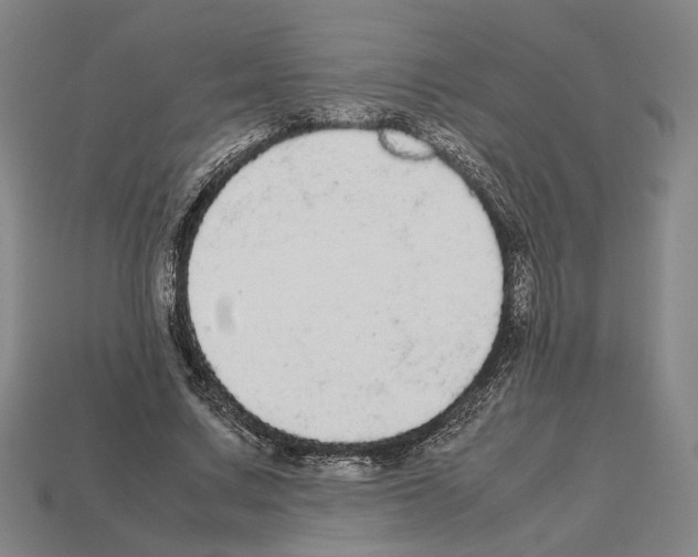 X0000112530683200909281039