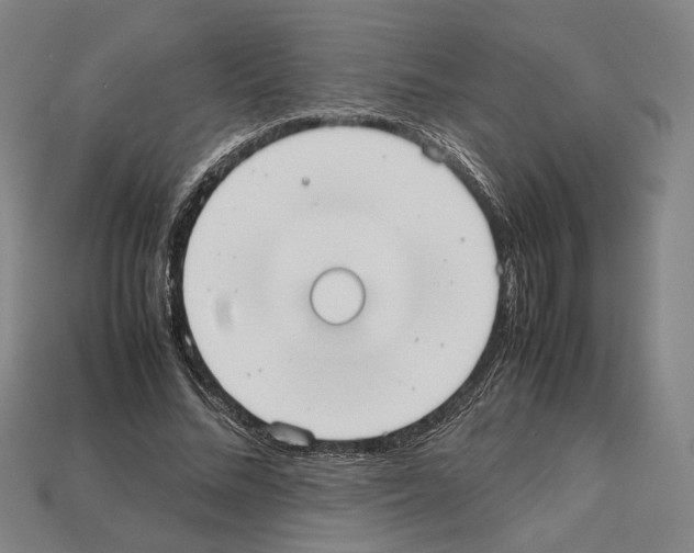 X0000112530684200909281039