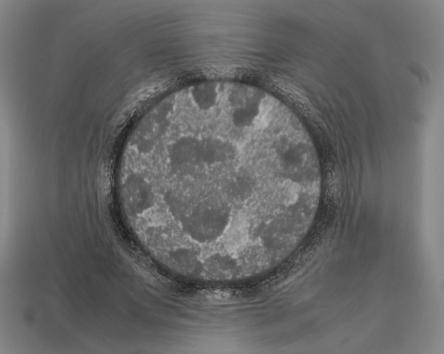 X0000112530687200909281039