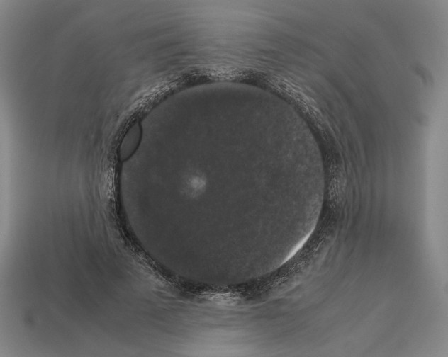 X0000112530689200909281039