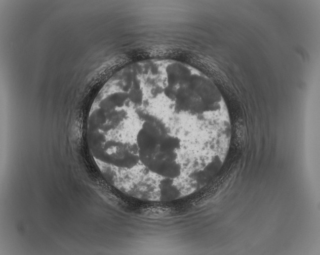 X0000112530691200909281039