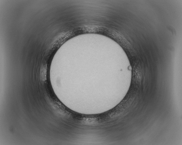 X0000112530694200909281039