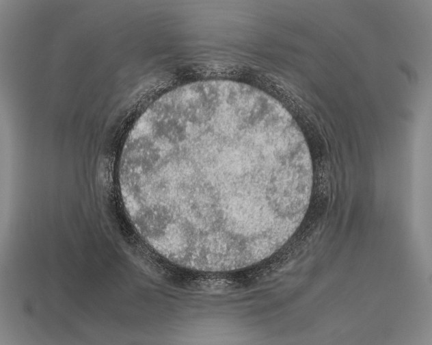 X0000112530695200909281039