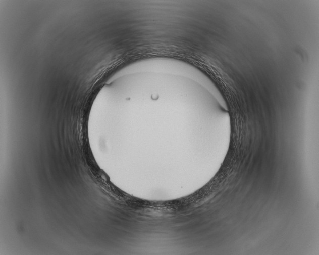 X0000112530696200909281039