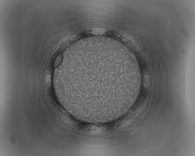 X0000112530697200909281039