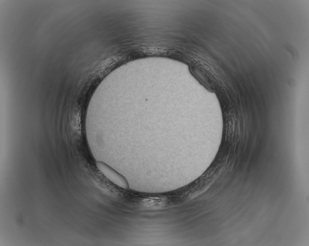 X0000112530700200909281039