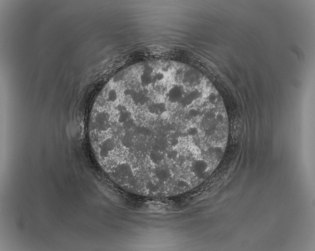 X0000112530703200909281039