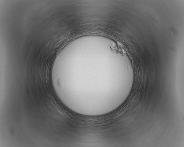 X0000112530704200909281039