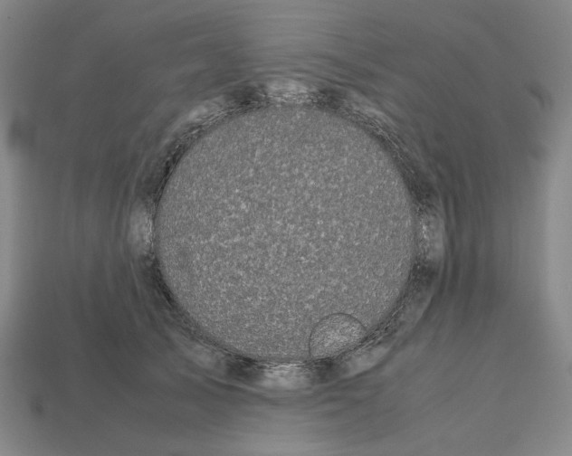 X0000112530705200909281039