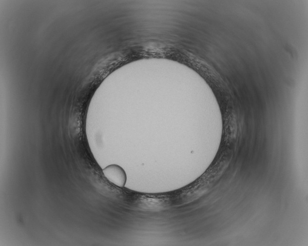 X0000112530706200909281039