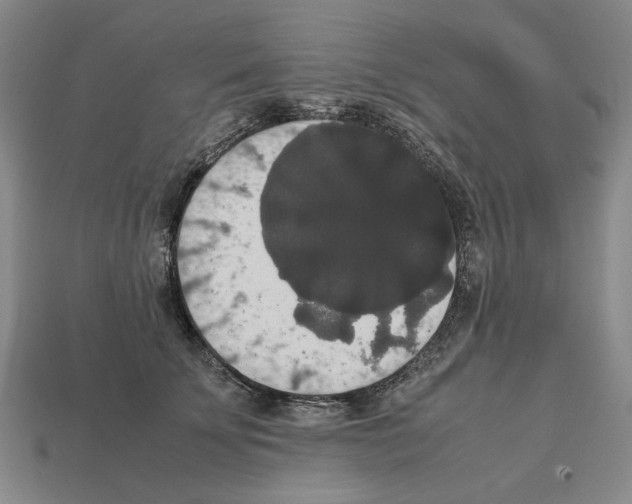 X0000112530707200909281039