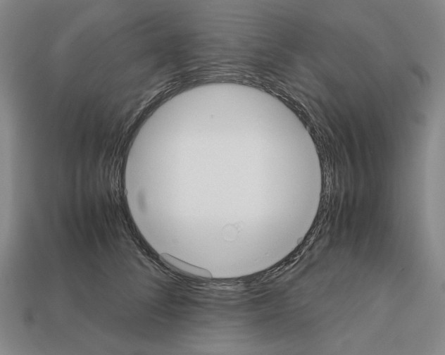 X0000112530708200909281039