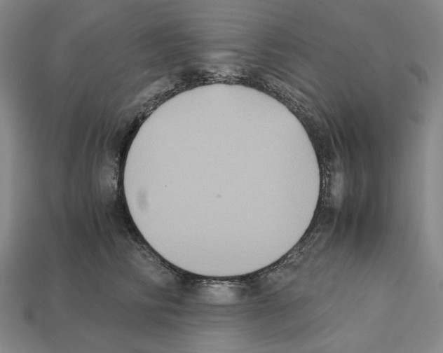 X0000112530710200909281039