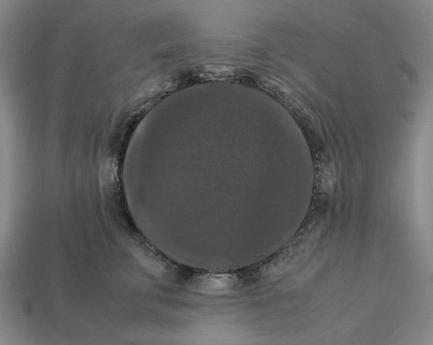 X0000112530711200909281039