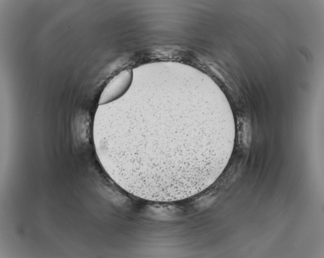 X0000112530712200909281039