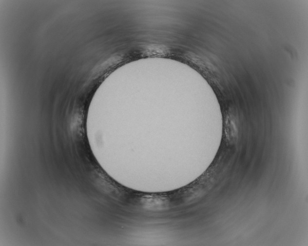 X0000112530714200909281039