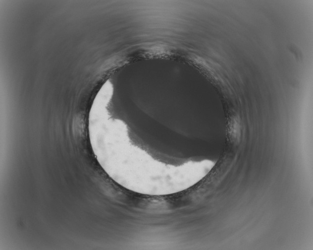 X0000112530715200909281038