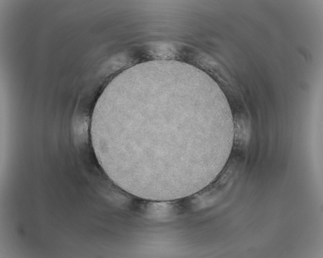 X0000112530717200909281038