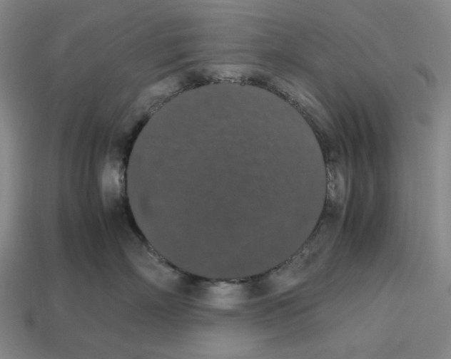 X0000112530718200909281038