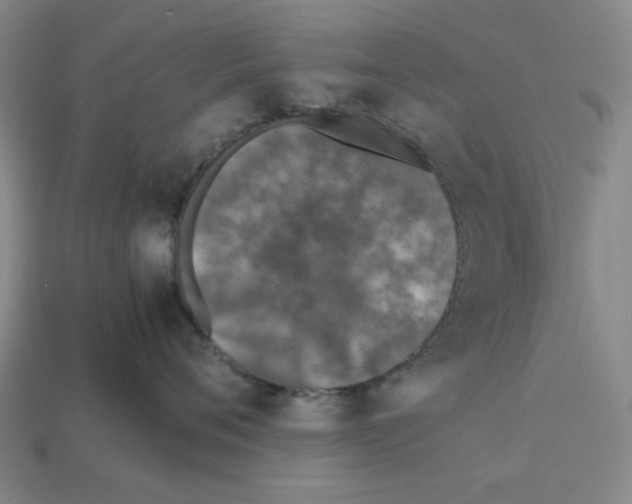 X0000112530720200909281038